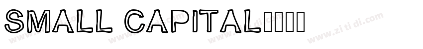 SMALL CAPITAL字体转换